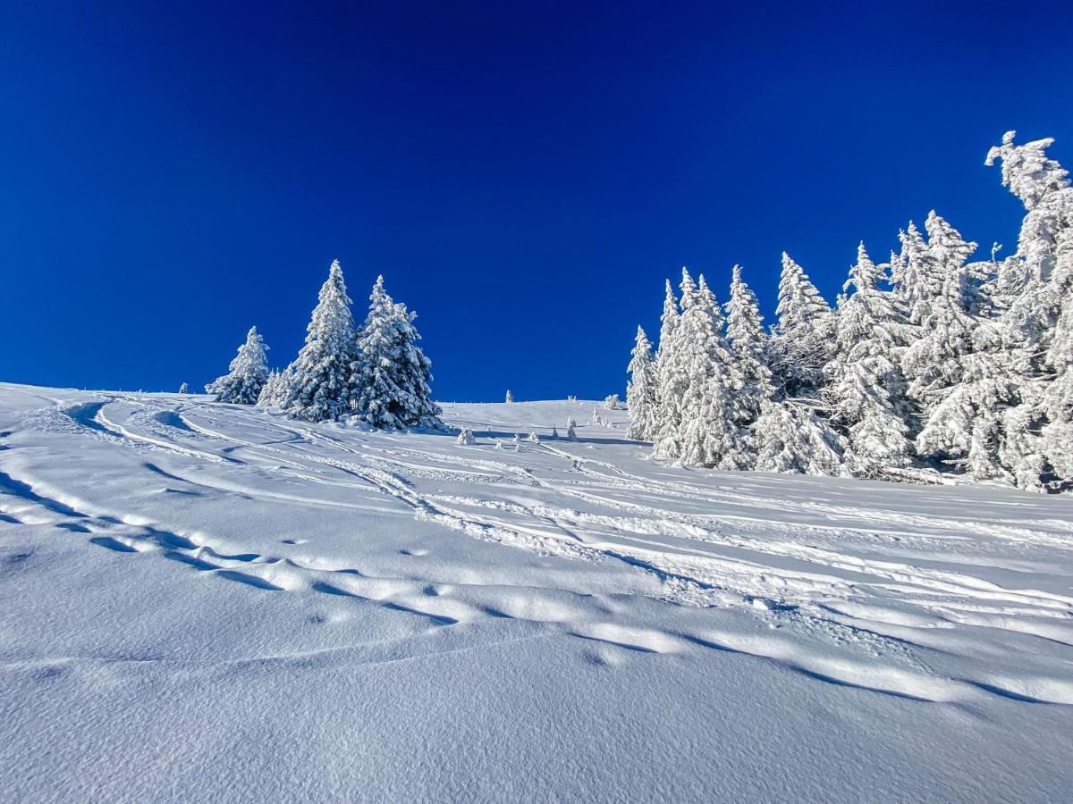 Ferienwohnungen Am Skilift Herrischried Esterno foto