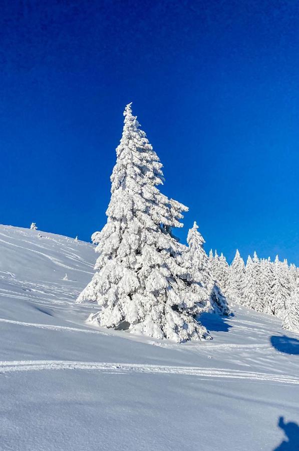 Ferienwohnungen Am Skilift Herrischried Esterno foto
