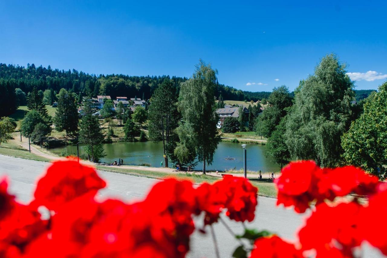 Ferienwohnungen Am Skilift Herrischried Esterno foto