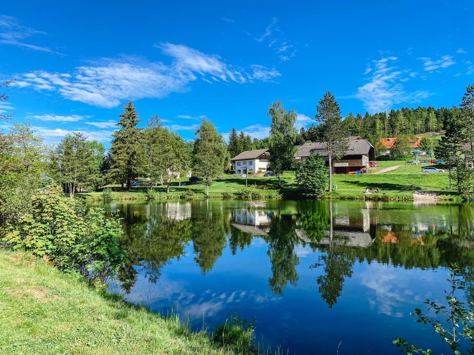 Ferienwohnungen Am Skilift Herrischried Esterno foto