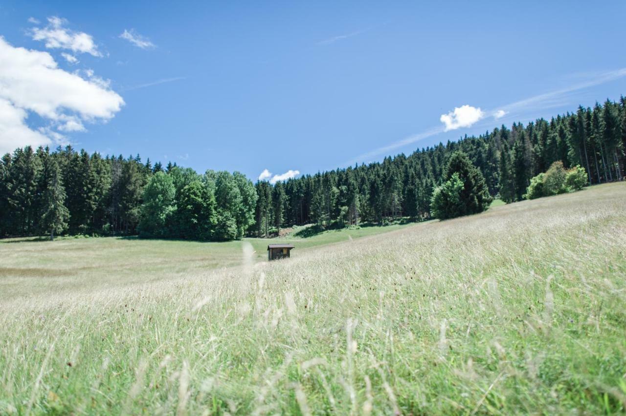 Ferienwohnungen Am Skilift Herrischried Esterno foto