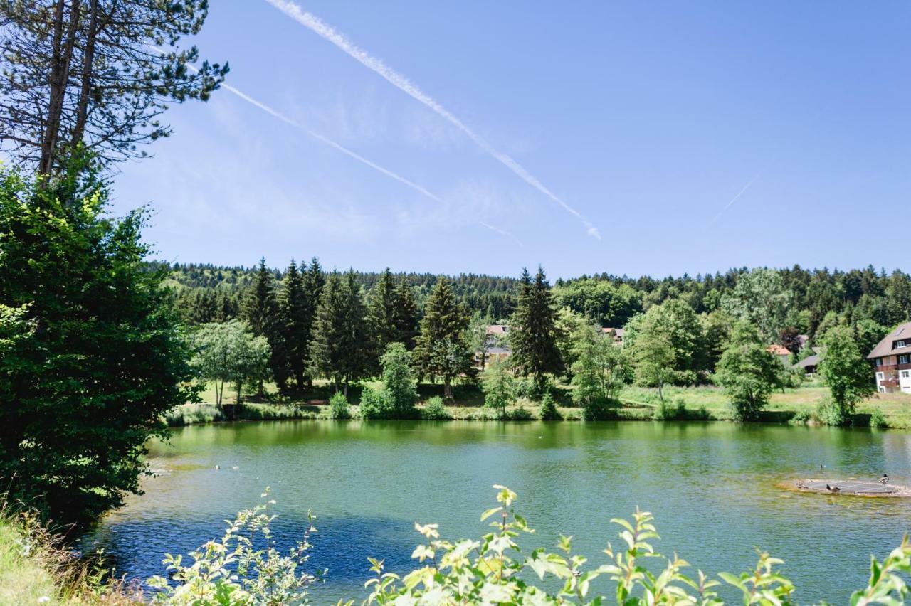Ferienwohnungen Am Skilift Herrischried Esterno foto