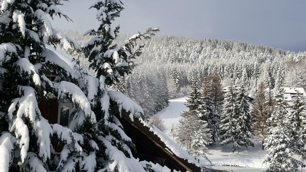 Ferienwohnungen Am Skilift Herrischried Esterno foto